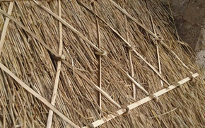 re-thatching thatched roof