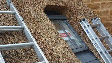 Thatched roof velux window